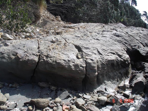 Rock on the foreshore at the base of the cliff is cracking and fracturing under pressure from the movement of the subsiding land above.